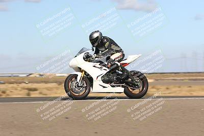 media/Nov-03-2024-TrackDaz (Sun) [[44580f4982]]/B Group/1220pm (Wheelie Bump)/